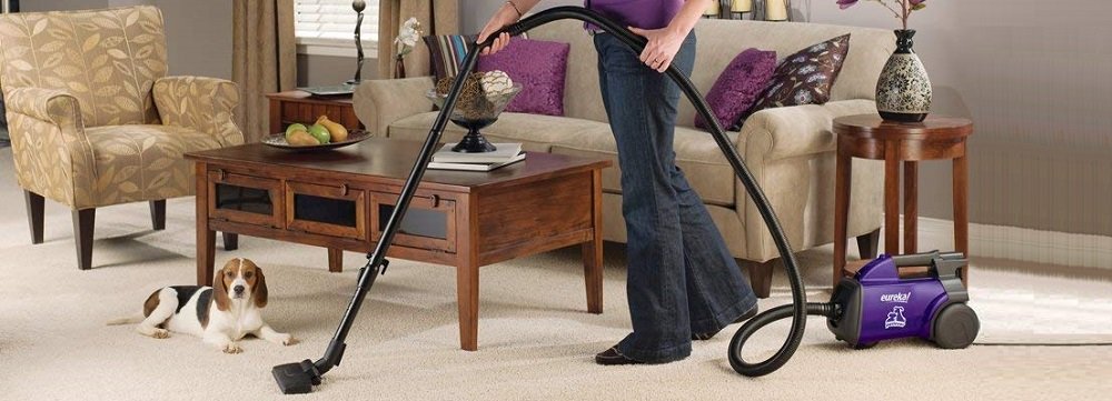 Best Canister Vacuum Cleaner for Pet Hair