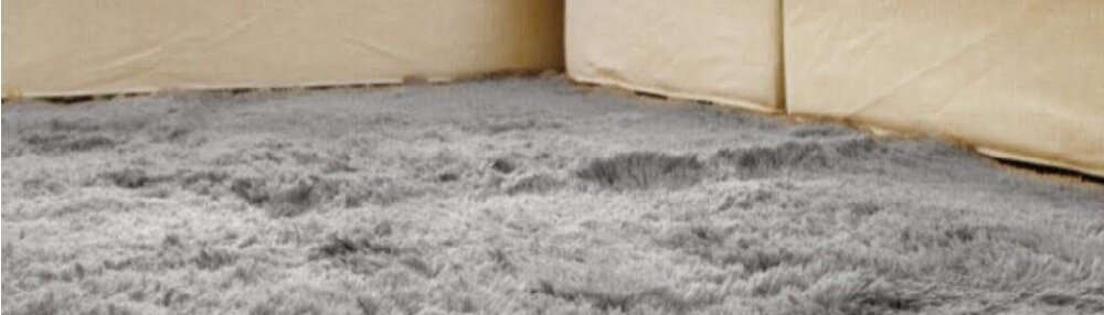 Ways to Get Mold Out of Your Carpet