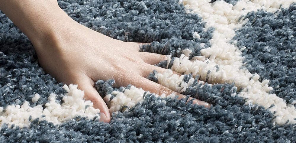 Mold Out of Your Carpet
