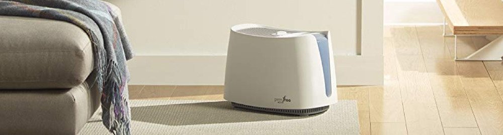 Which type of humidifier is best?
