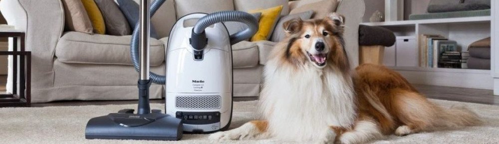 Which Miele canister vacuum is best?