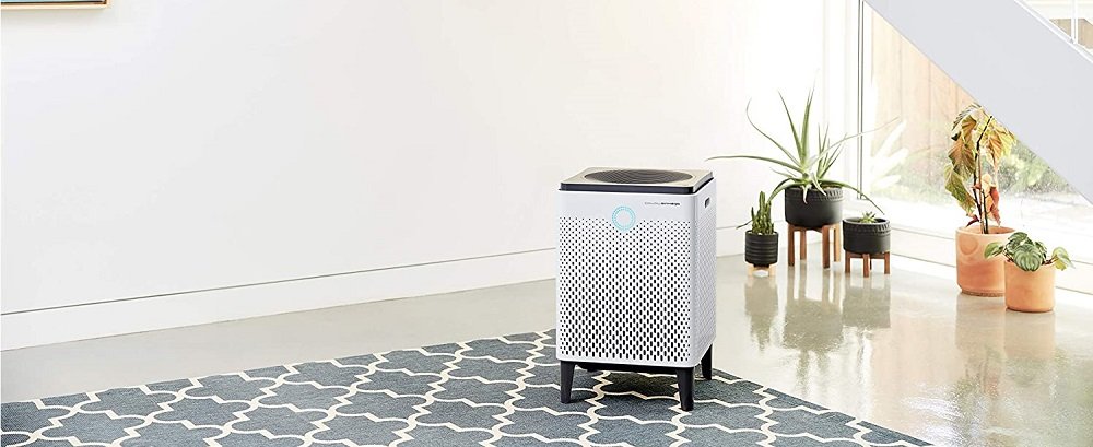 Best Air Purifiers for Allergies