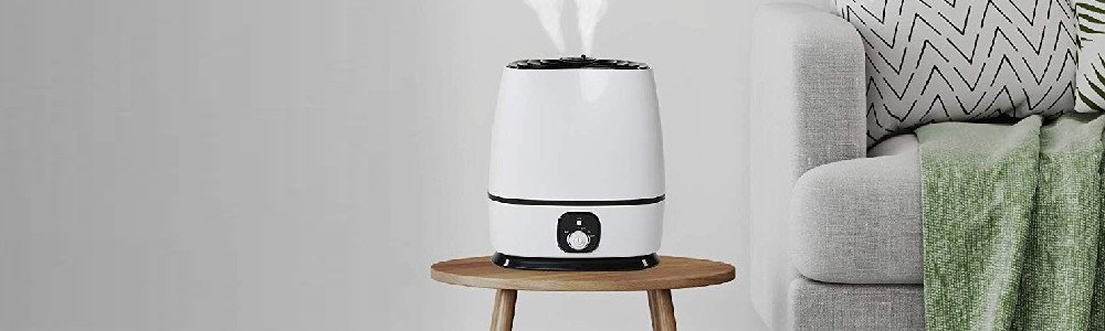 Best Asthma Humidifier