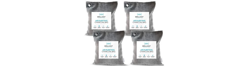 Brilliant Evolution Bamboo Charcoal Air Purifying Bag Review