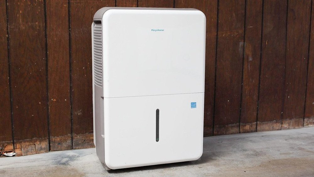 Is a Dehumidifier Good or Bad for You?