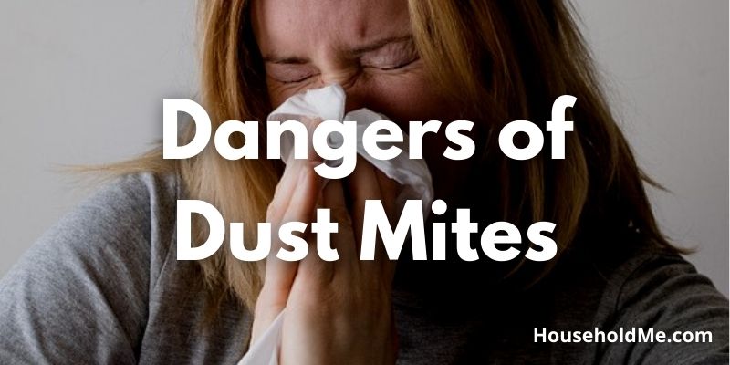 Dangers-of-Dust-Mites