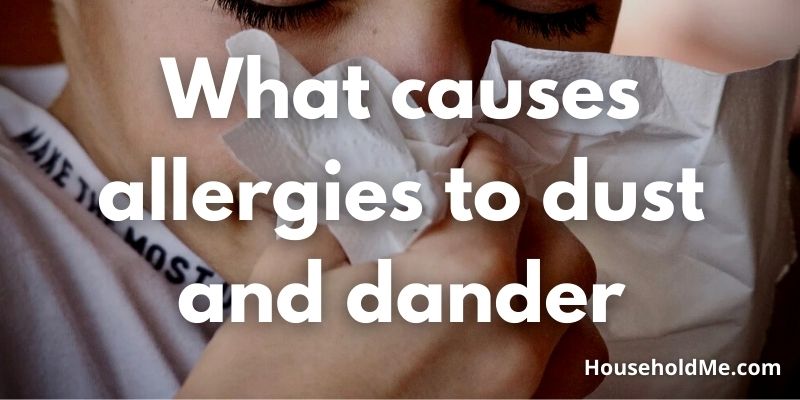 What-causes-allergies-to-dust-and-dander