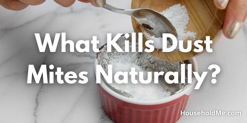 What-Kills-Dust-Mites-Naturally
