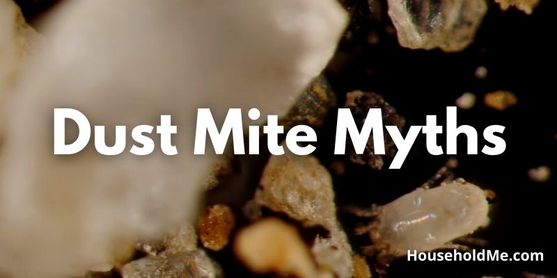 Dust Mite Myths