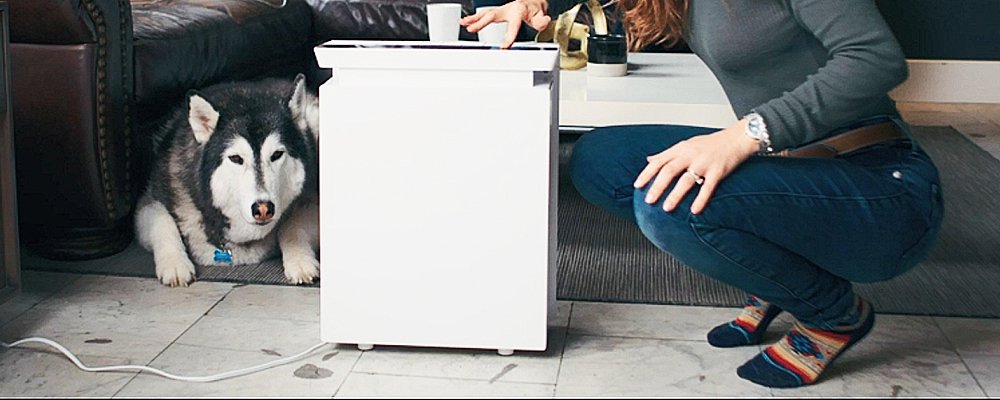 How Long to Use an Air Purifier?