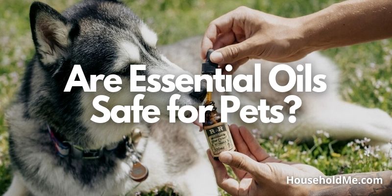 Are-Essential-Oils-Safe-for-Pets