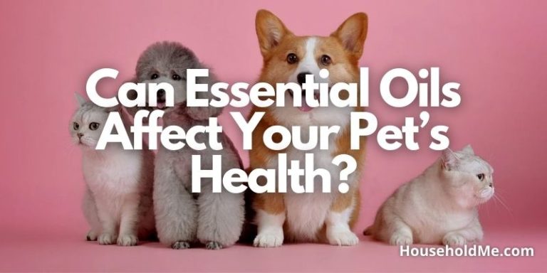 Can Essential Oils Affect Your Pet’s Health