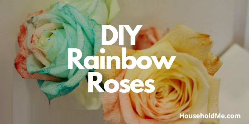DIY Rainbow Roses