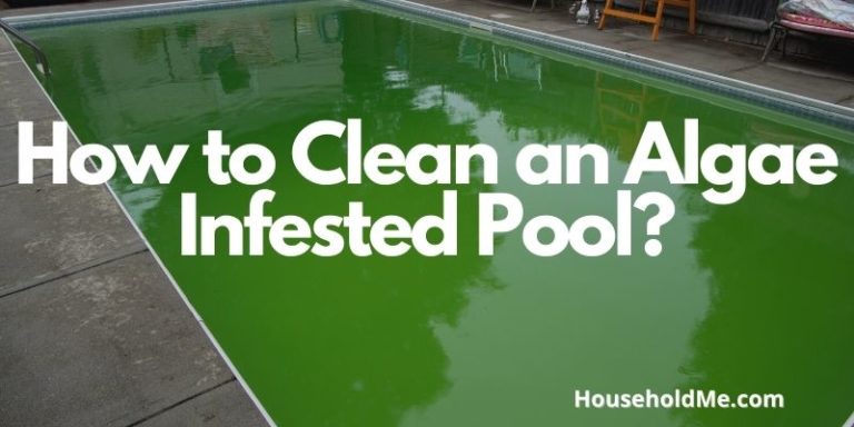 How to Clean an Algae Infested Pool?