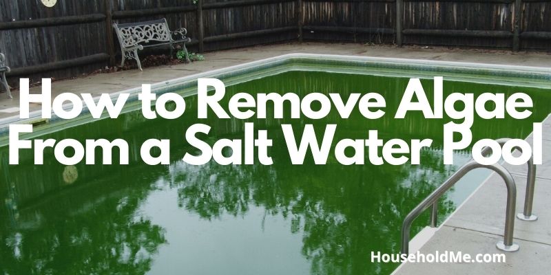 How to Remove Algae From a Salt Water Pool