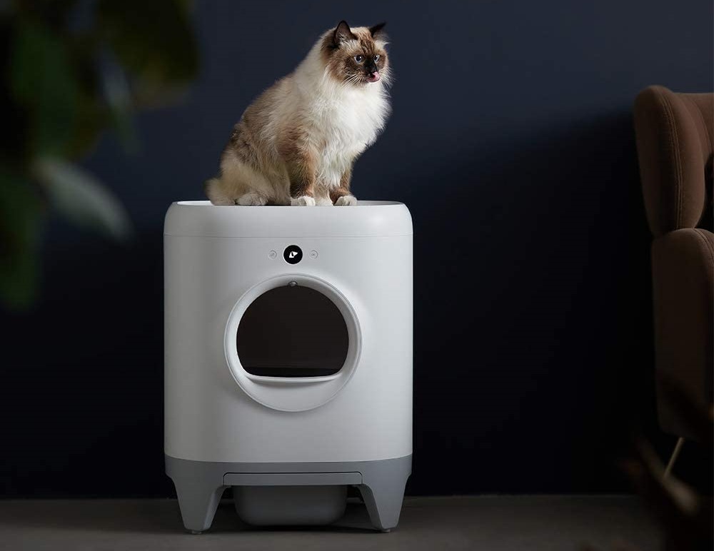 PETKIT vs. LitterRobot vs. PetSafe SelfCleaning Cat Litter Boxes